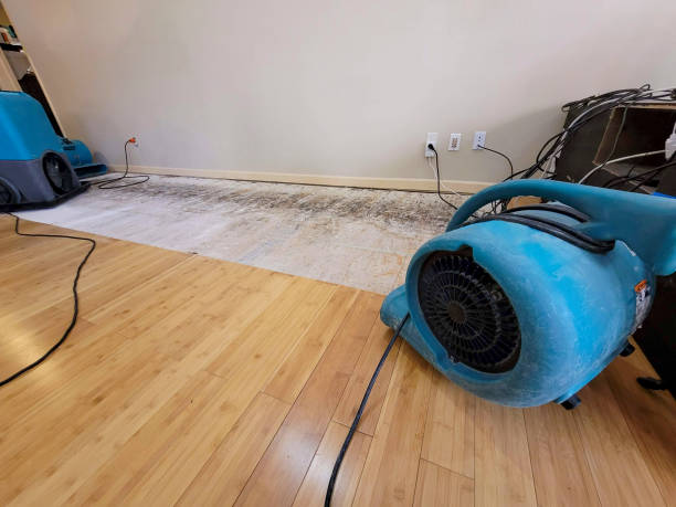 Professional Emergency Water Damage technician working in Westerly, RI